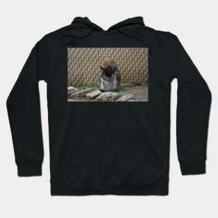 Wallaby and Joey Hoodie